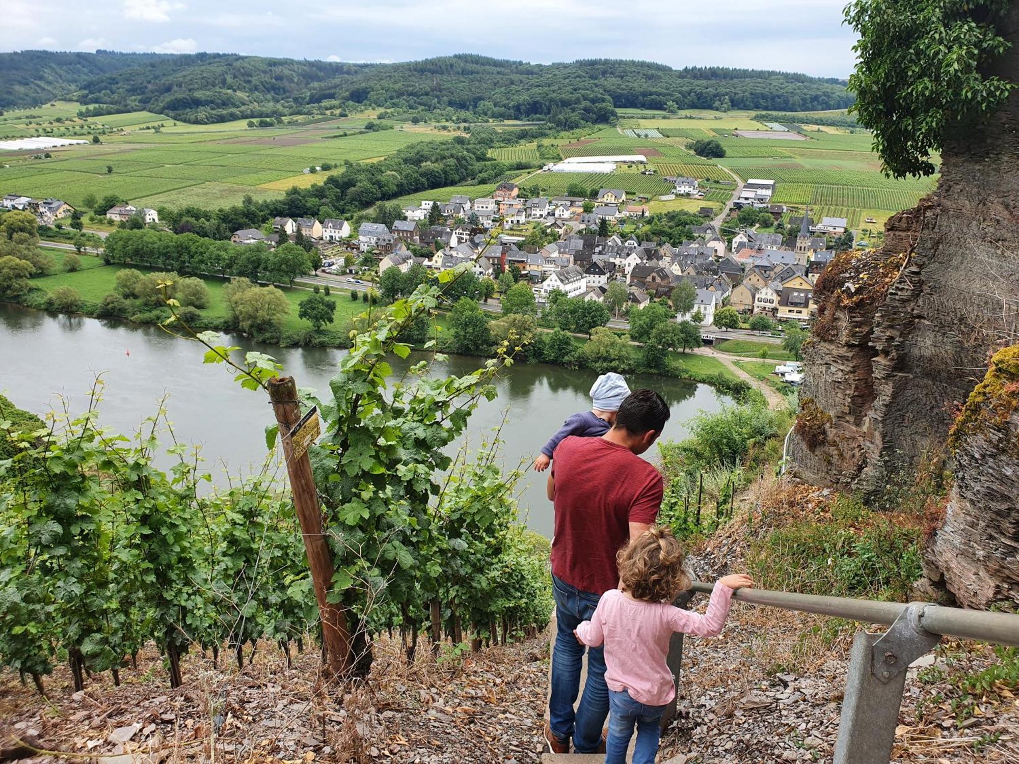 Feriengut Bohn Hotel Bernkastel-Kues Ngoại thất bức ảnh